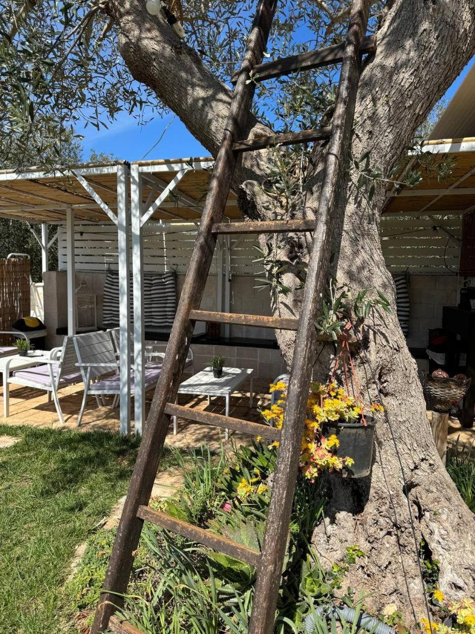 Dimora Ducabianco Bed & Breakfast Monopoli Exterior photo